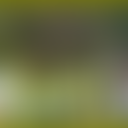 עיקרי הממצאים האבחון והדיווח (הרעלה ת"א)