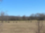 image5.jpeg