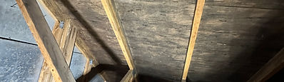 Air quality specialist testing indoor air for mold spores in a Michigan home