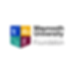 Maynooth University Foundation