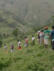 Abstract Color Gradient