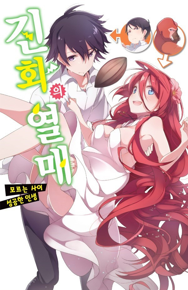 Volume 1 cover of the novel