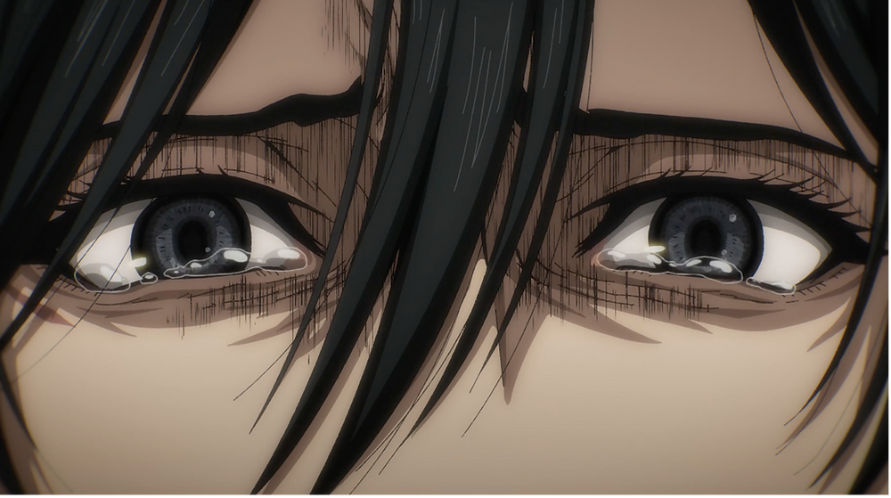 The pain in Mikasa's eyes