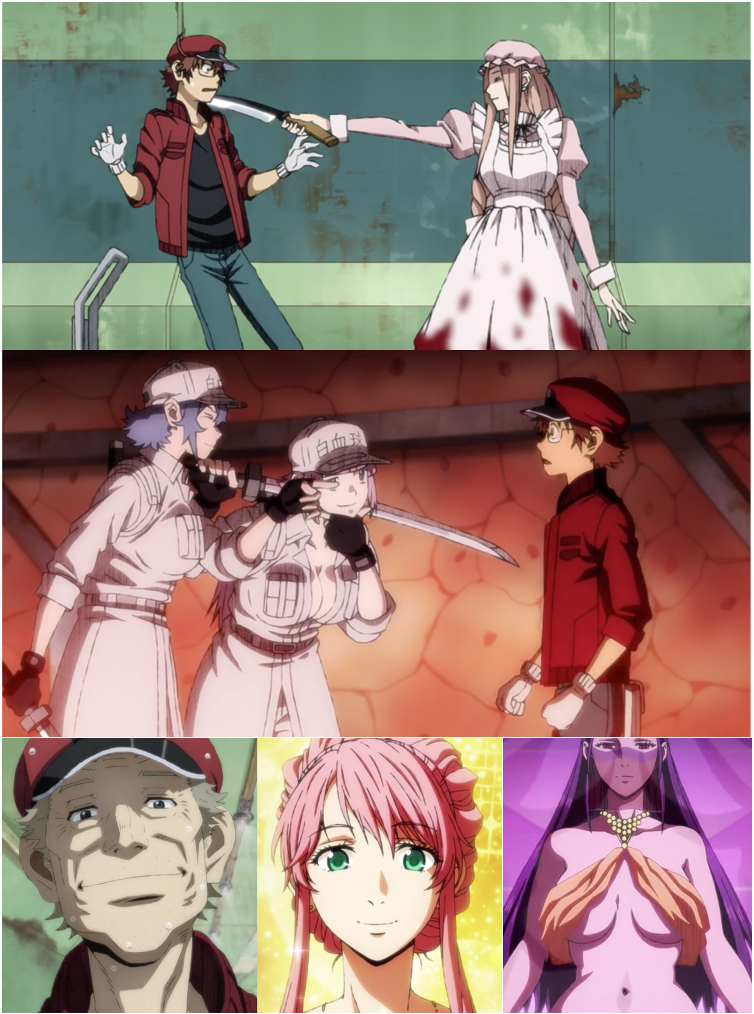 New acquaintances! A bloody macrophage, junior white blood cells, "Gramps" RBC, a hepatocyte and a Kupffer cell