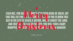 Merry Christmas by Stephanie Graden