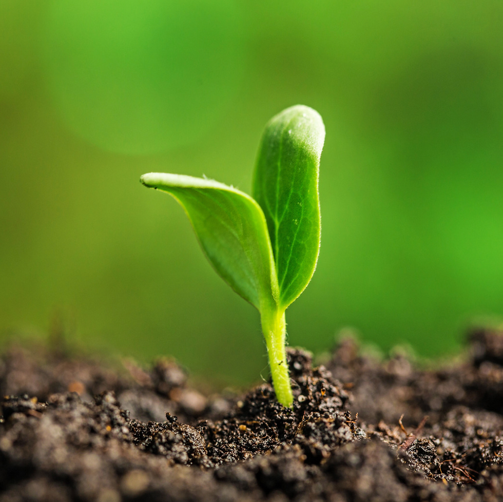 How to Remove Dirt from Surfaces