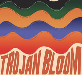 Screenshot 2024-11-06 at 12_edited_edite