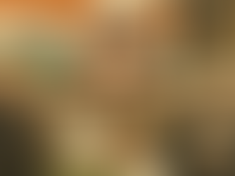 Presidential Reference: SC Issues Notice to Union and States on Powers of President and Governor