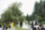 Bride and groom at outdoor wedding under a large tree. Guests seated, bridesmaids in yellow. Lush greenery sets a serene mood at VanDusen Botanical Garden Wedding and Shaughnessy Restaurant wedding