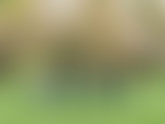 Family Photoshoot at Stanley Park – Best Outdoor Location in Vancouver for Family Photography