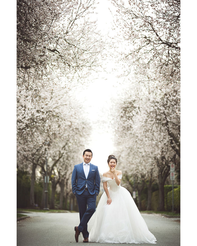 Prewedding photo during Cherry blossom