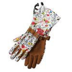 gloves.jpeg