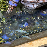 ジオラマ ズゴック 水ジオラマ レジン