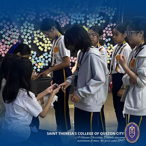 Practicing Democracy, Building Leadership: GSSO Elections