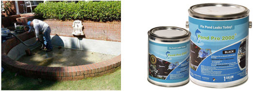 Fish Pond Sealer: Your Guide to Sealing a Leaky Pond