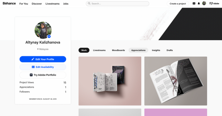 Prof. Practice, Week 7: Portfolio & Context