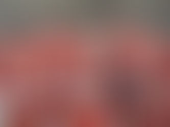 U and I: Red Army Review