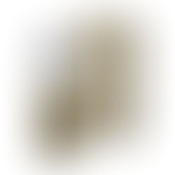 BCN Arni+K – Specifieke crème voor blauwe plekken en oedeem