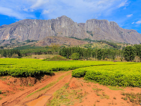 Mount Mulanje