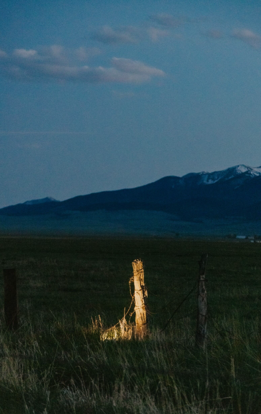 just an old cedar post