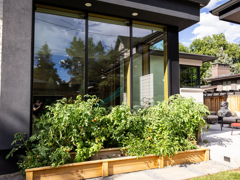 Hilltop Denver - View 5