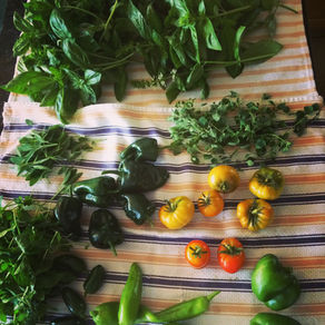 ​​How To:  Start Planning Your Garden