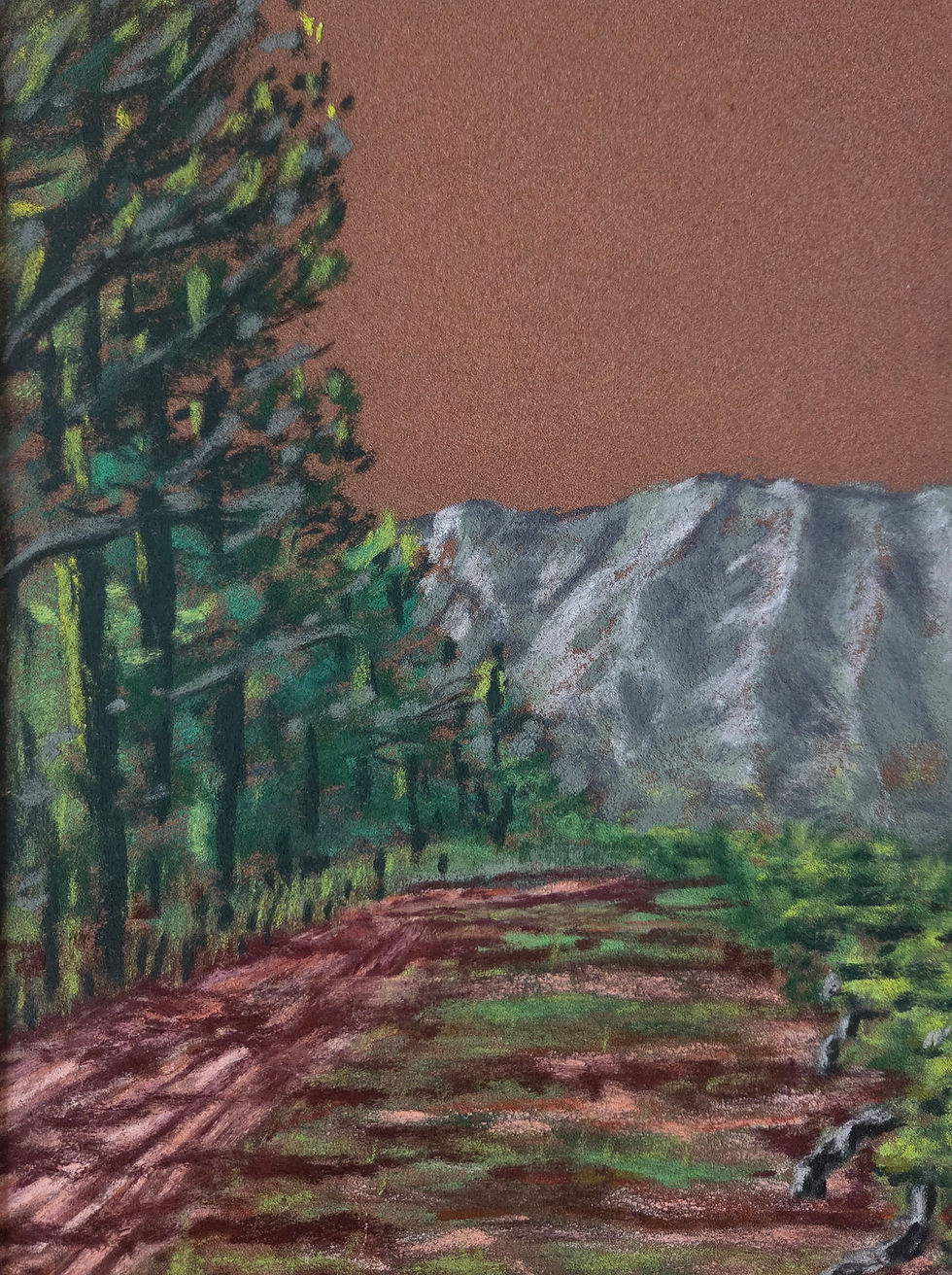 Mont St Victoire 2024