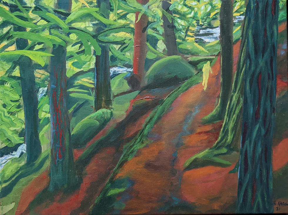 Dartmoor Running through the Woods 2023