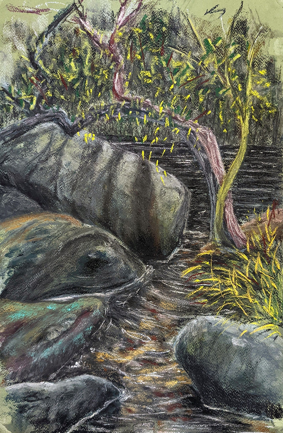 Moorland River, Dartmoor 2023