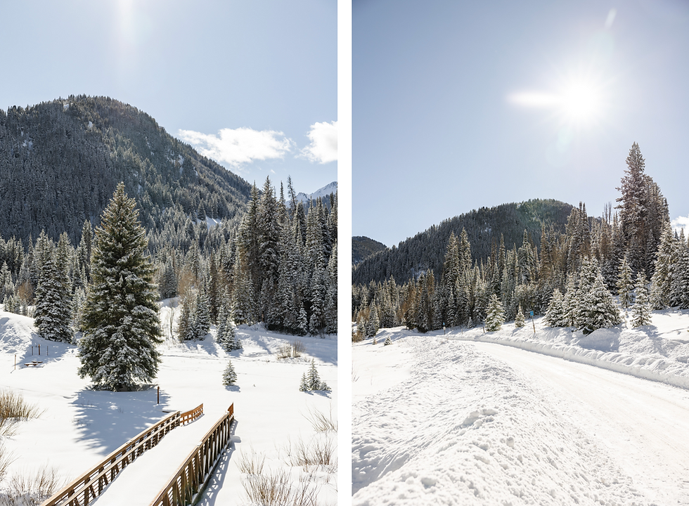 Snowy mountain landscape, sunlit sky, and pine trees.
