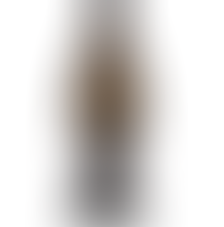 WALTER (AND HANNAH) GLATZER