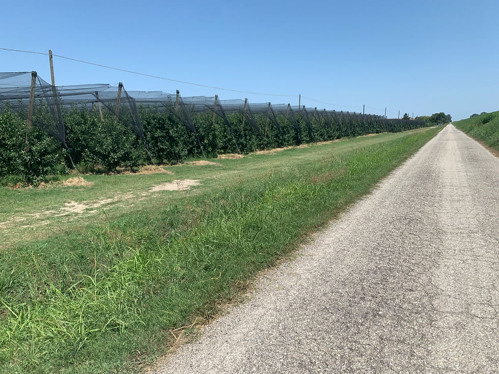 Long hot roads
