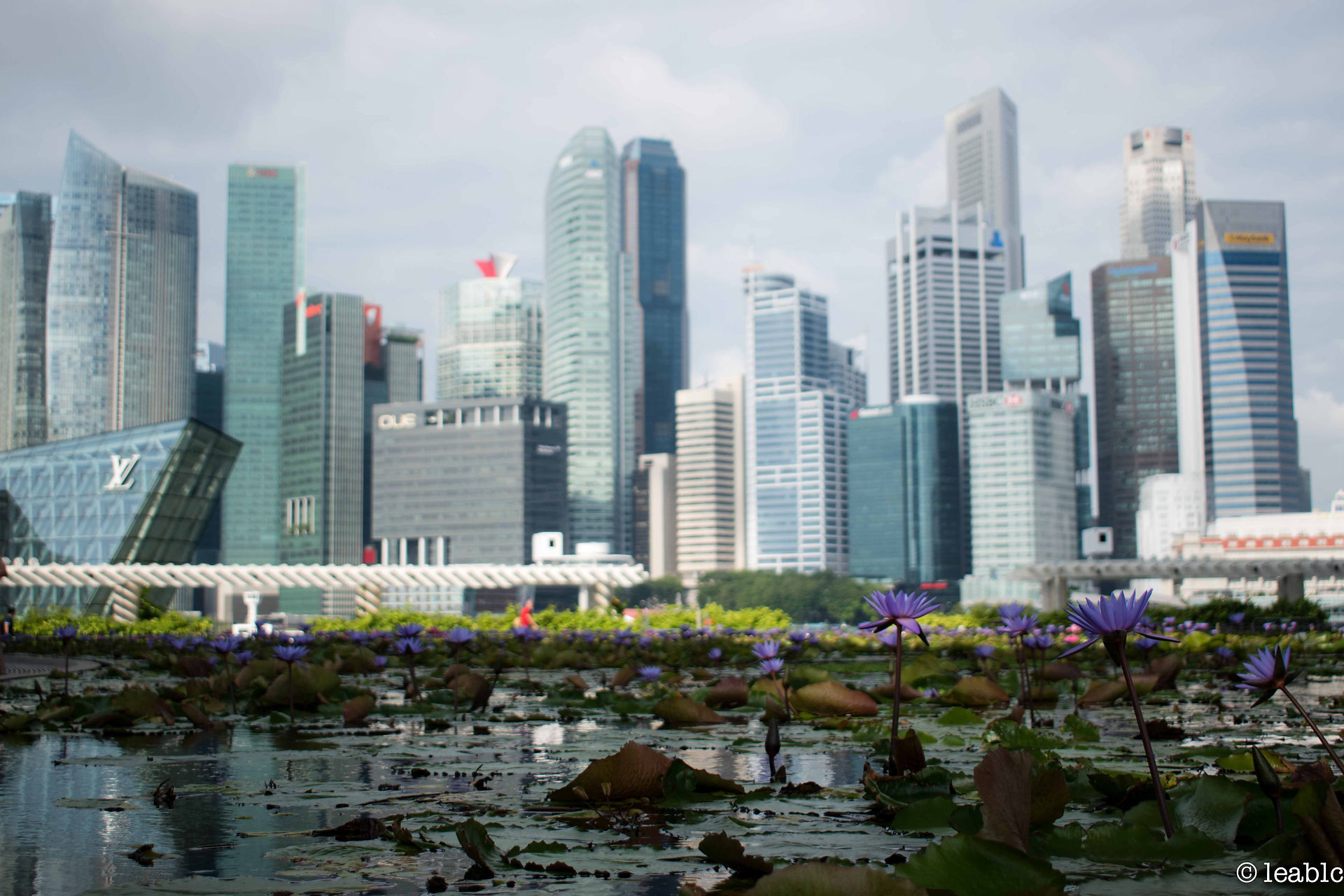 Singapour morning