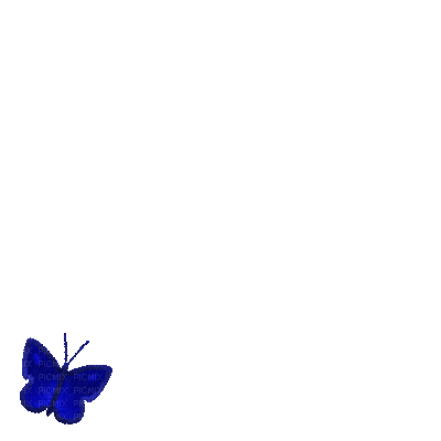 mariposa azul.gif