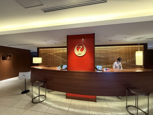 My Brilliant Japan Airlines Ground Experience