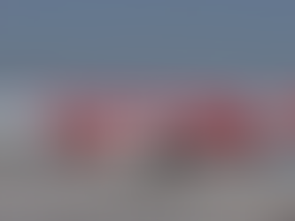 A Troubling Flight: Passenger's Ordeal on AirAsia Flight AK892