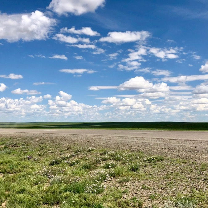Rundtour durch die Wüste Gobi mit ausgiebigen Wanderungen vor Ort