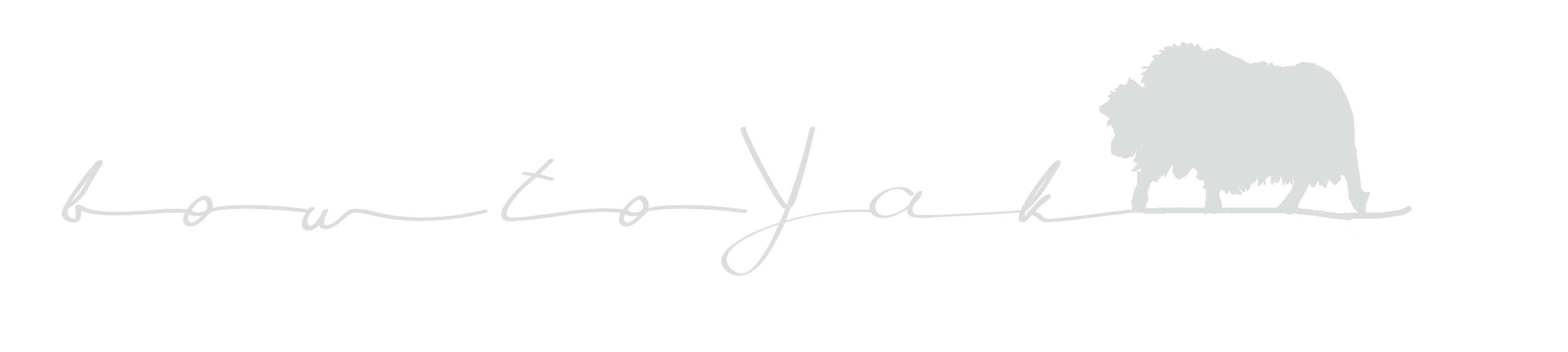 2024 bowtoyak logo hellgrau.png