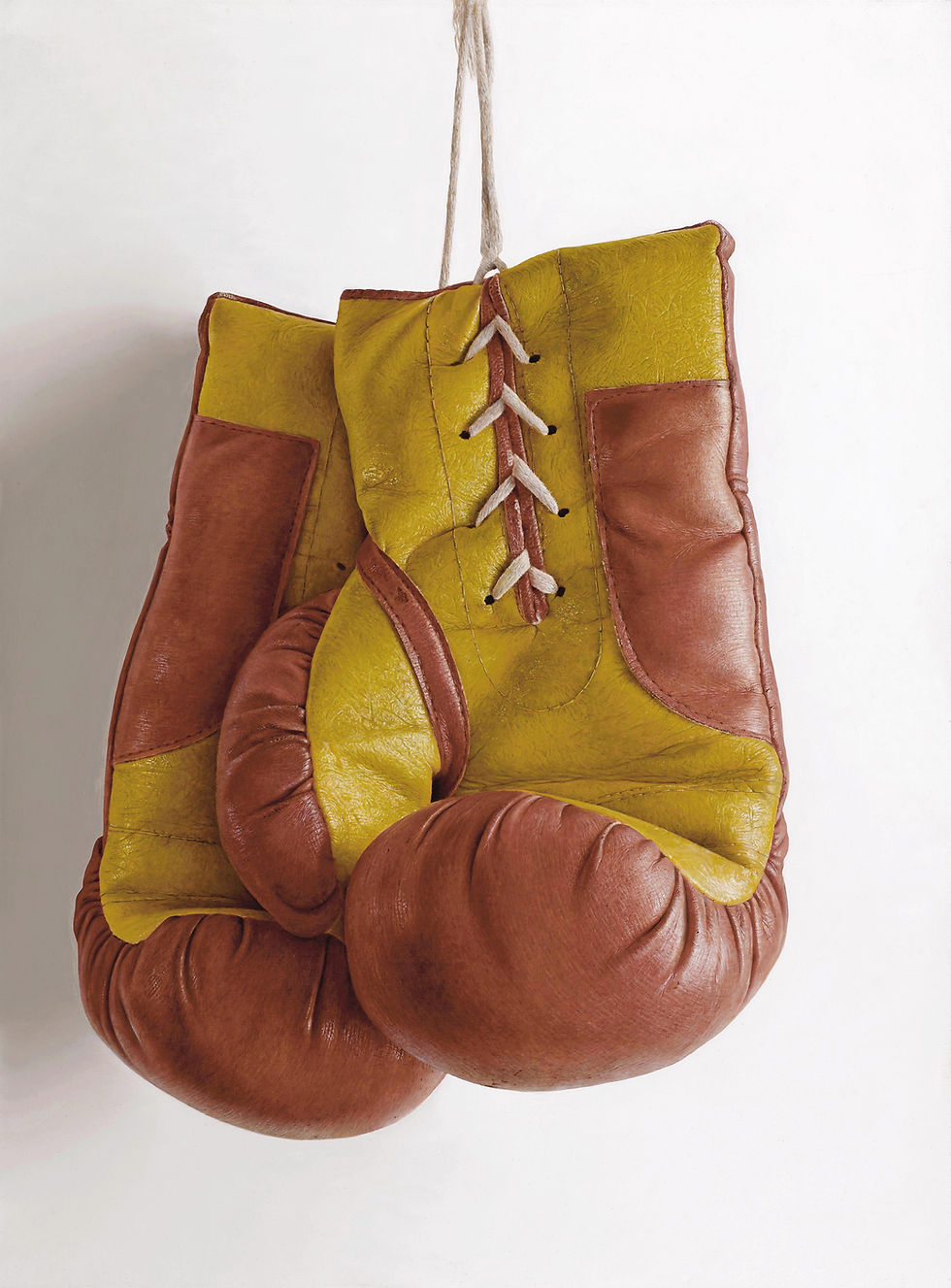 Boxing Gloves