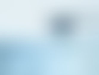 First Alert BRK 3120B Features