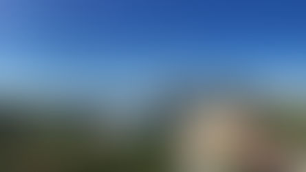 Welcome to New York !