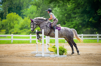 rider jumping over a jump at Wyn Farm with her horse