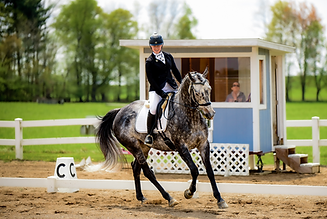 dressage rider in the ring at Wyn Farm