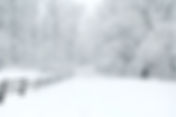 January 2026 Winter Storm