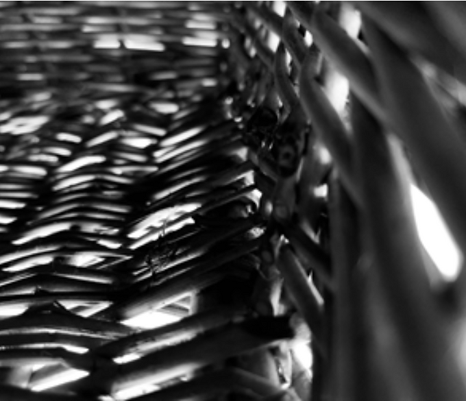 Lillian Dolan - What is Line - 3