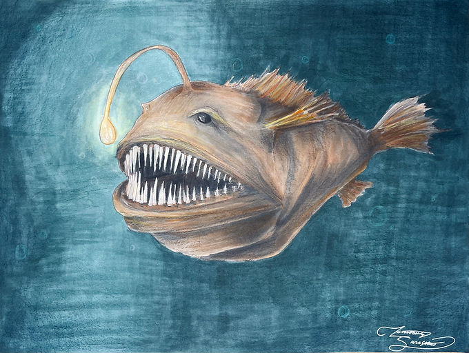 Cool Creatures: Episode 3 - The Anglerfish