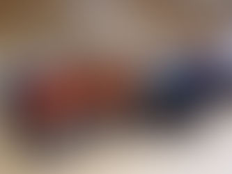 Celebrations unveiled to mark 80 years of Dundee’s twinning with Orléans