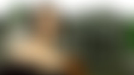 Mary Shelley-inspired woodland idea emerges for Camperdown Park