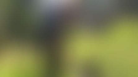 I visited Dundee’s Camperdown Wildlife Centre and it was a truly special experience