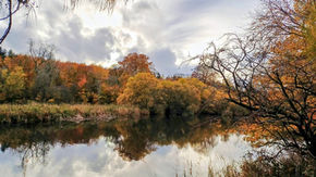Dundee celebrates eight national honours for its parks and green spaces